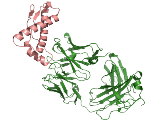 Screen shot 2016-03-23 at 8.32.12 PM