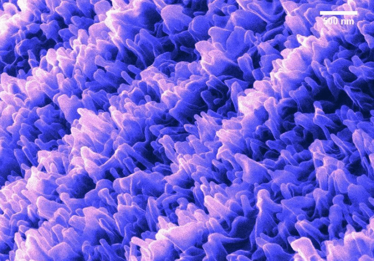 Screen Shot 2018-07-04 at 3.11.14 PM