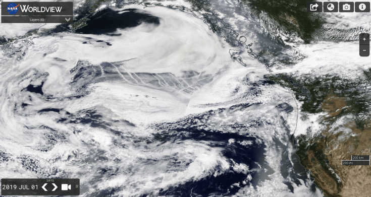 Screen Shot 2019-07-01 at 6.14.34 PM